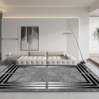 Modern Home Grey Carpets Living Room Decoration Abstract Rugs Light Luxury Sofa Floor Mat Anti-slip Bedroom Cloakroom Lounge Rug 1