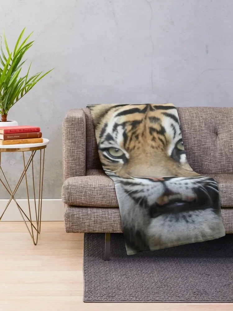 ���� ���� ���, ����Ʈ�� ȣ���� ��, ������ ������ ���