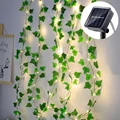 Lvy vine