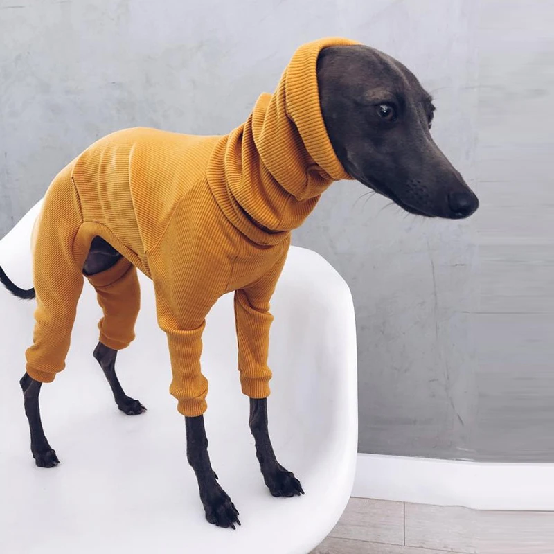 휘핏 이탈리안 그레이하운드 의류 대형견용 중대형견용 터틀넥 겨울용 애완동물 잠옷 원지스 셰퍼드용