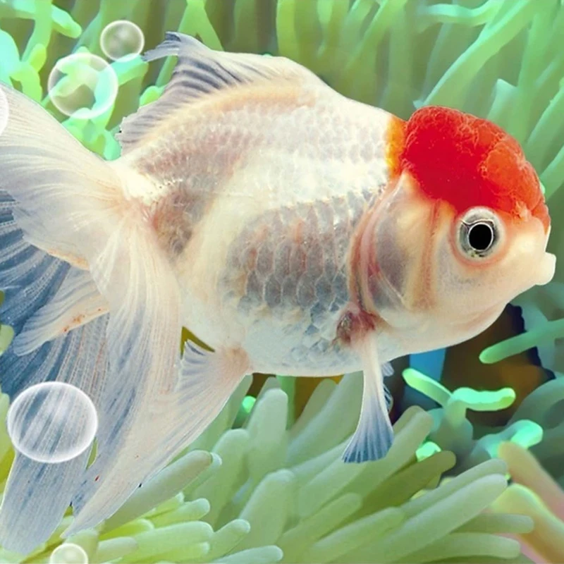 papel de parede foto customizada para quarto mural decorativo quarto sala estar sala tv fundo 05