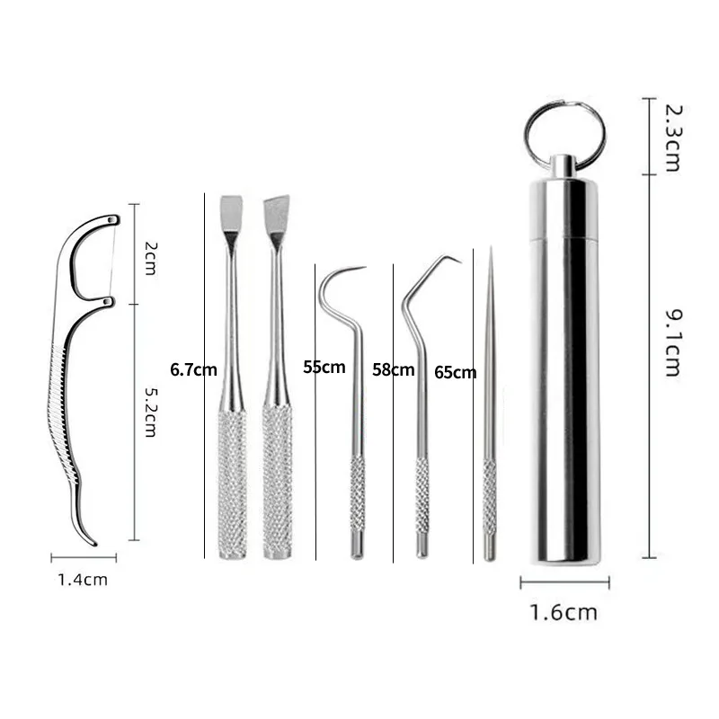 Stainless Steel Toothpick Set Tooth Flossing Reusable Toothpicks Portable Toothpick Floss Teeth Cleaner Oral Cleaning 6
