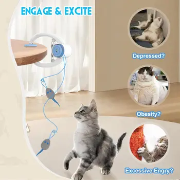 Hanging Elastic Cat Toy 1