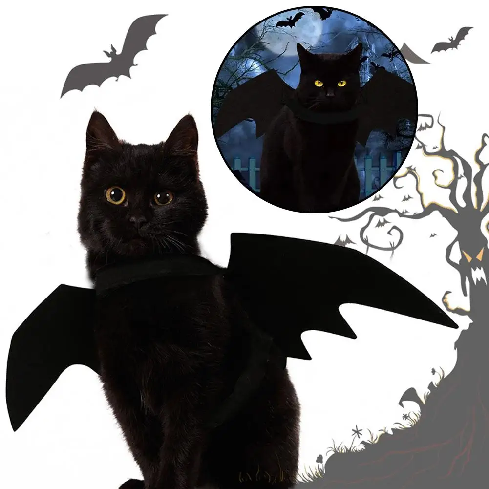 Halloween Products Dress Up Accessories Pet Bat Wings Cool Dog Cat Black Bat Costume