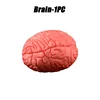 brain-1pc