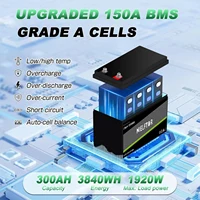 New 12V 24V 48V 100Ah 200Ah 300Ah LiFePO4 Battery 12.8V 51.2V Lithium Iron Phosphate Battery Built-in BMS For Solar Boat No Tax 2