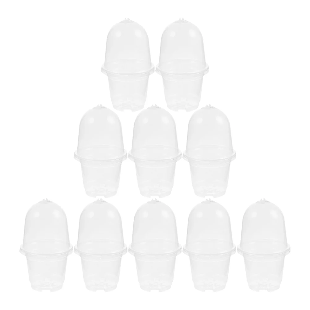 

10 Sets Transparent Flower Pot Clear Plant Pots with Drainage Plastic Nursery Planter Seedling The Pet Outdoor
