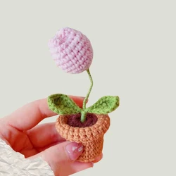 Handwoven Mini Rose Potted Plant - Woolen Thread Ornament for Office and Home Decor (B)