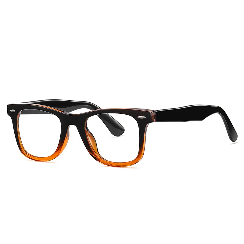 Receipt Spectacles, Eyeglasses Frames