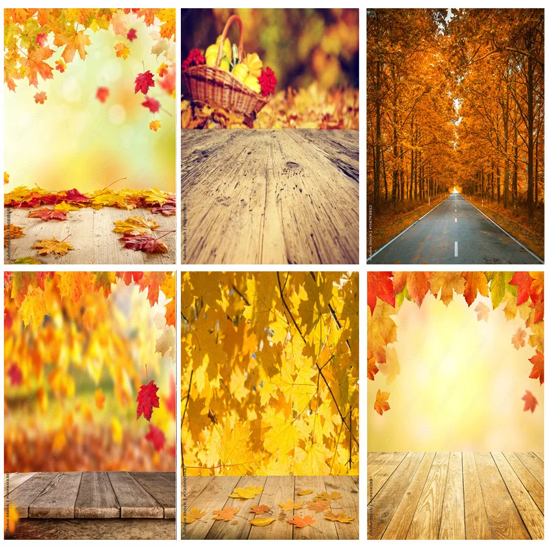 

Natural Scenery Photography Background Fall Leaves Forest Landscape Travel Photo Backdrops Studio Props 211224 QQTT-09