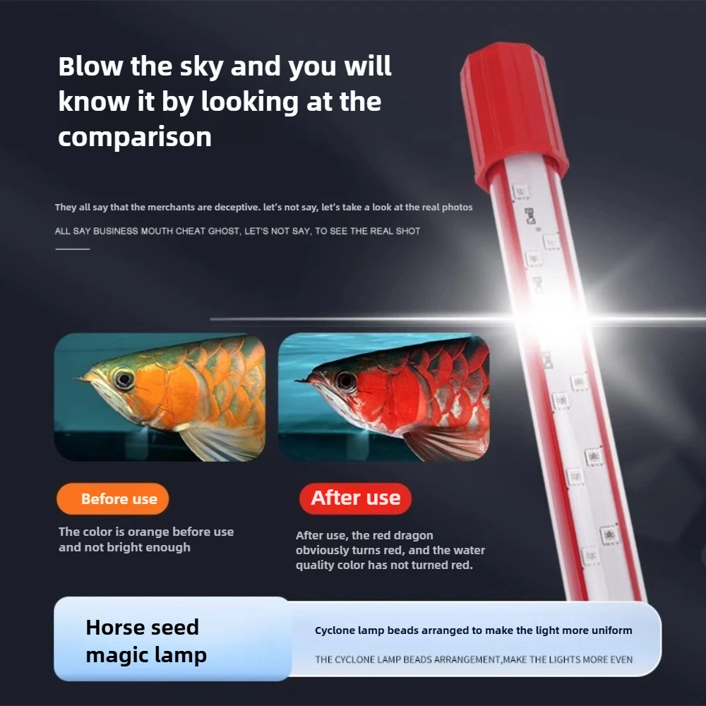 Lighting for Ornamental Reef Fish: Ultimate Guide to Vibrant Tanks