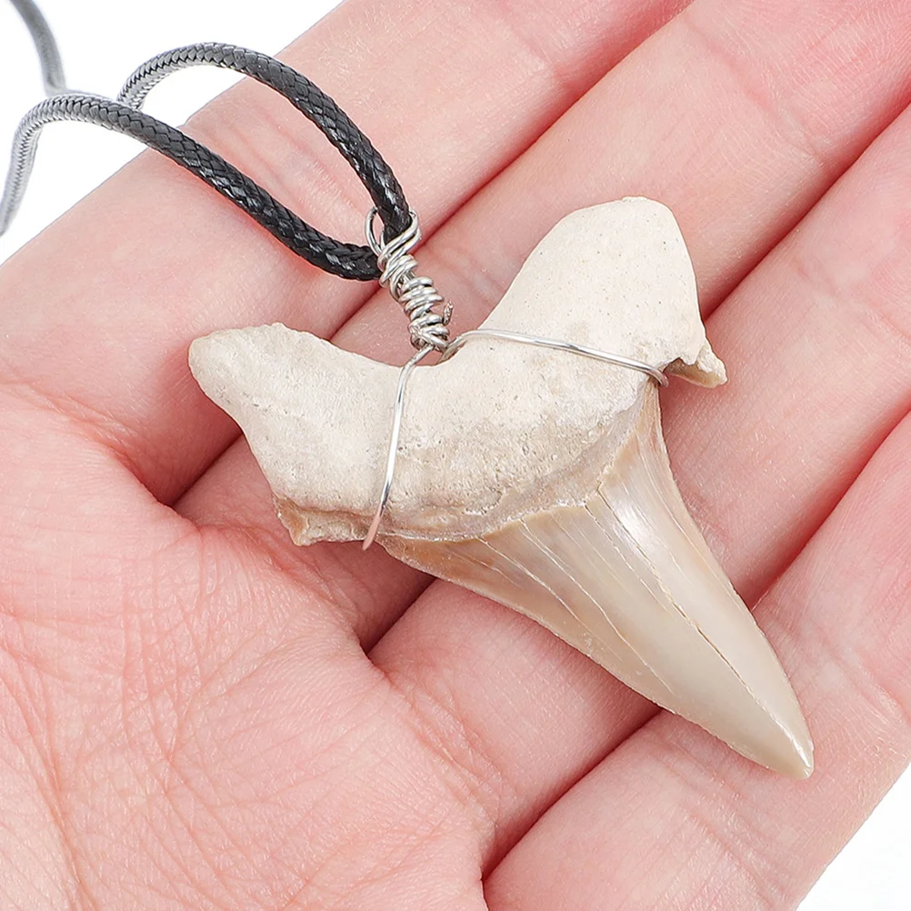 2pcs Shark Tooth Charm Necklaces Making Charms Decorative Shark Teeth Pendants Teeth Decor Charm for Crafts Necklace Making