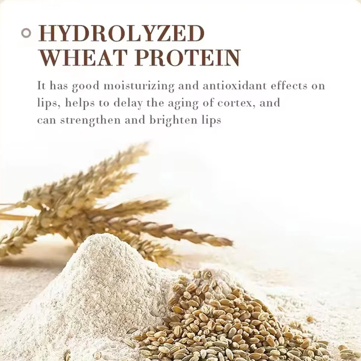 بلسم شفاه مرطب بجوز الهند مضاد للجفاف ومرطب لإزالة...