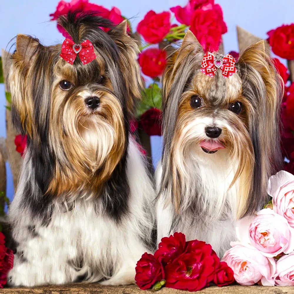 Title 2, 20PCS Red/Pink Series Dog Bows Valentines Day ...