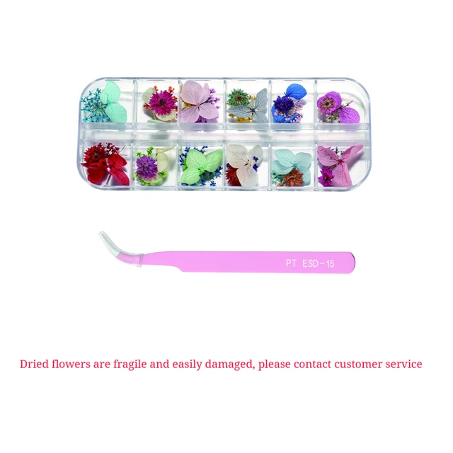1Box Dried Flowers Dry Plants for Rsein Molds Fillings Epoxy Resin Pendant Tweezers Jewelry Making Craft DIY Nail Art Decoration SET 03