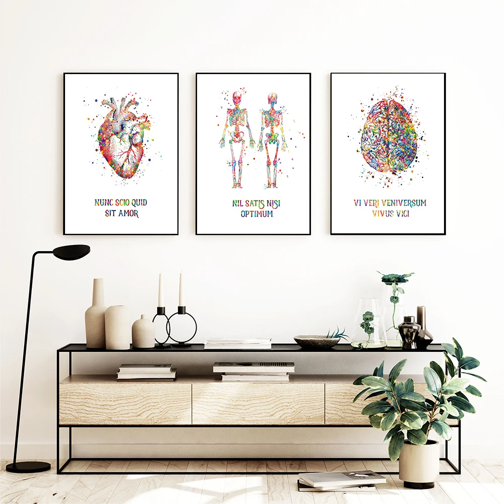 Human Medical Anatomy Vintage Wall Art, Poster de lona, Pulmões do coração, Fotos do cérebro para clínica, Decoração para casa