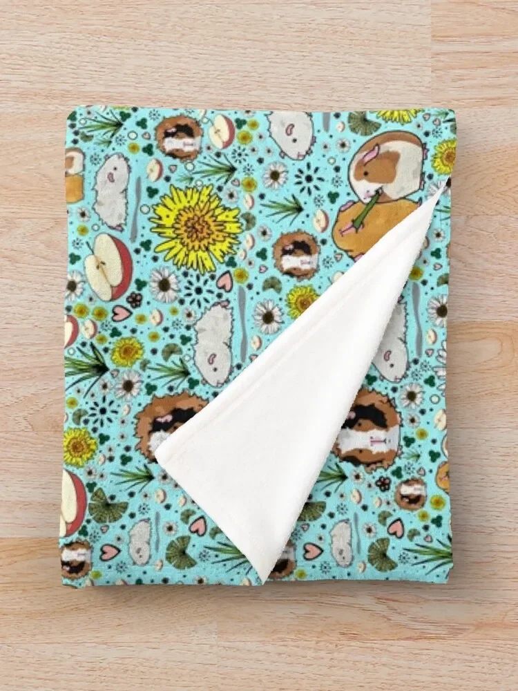 ����Ǳ� ���� ������ ���, ķ�� ����, �ҷ��� ��Ʈ�� �ö��� ���� ���