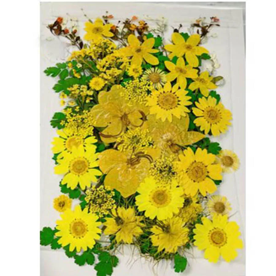 Description Picture 2 of item50pcs Mixed Dried Pressed Flowers Plant Herbarium For Jewelry Postcard Invitation Card Phone Case Art&Craft Making 7 Colors Pick