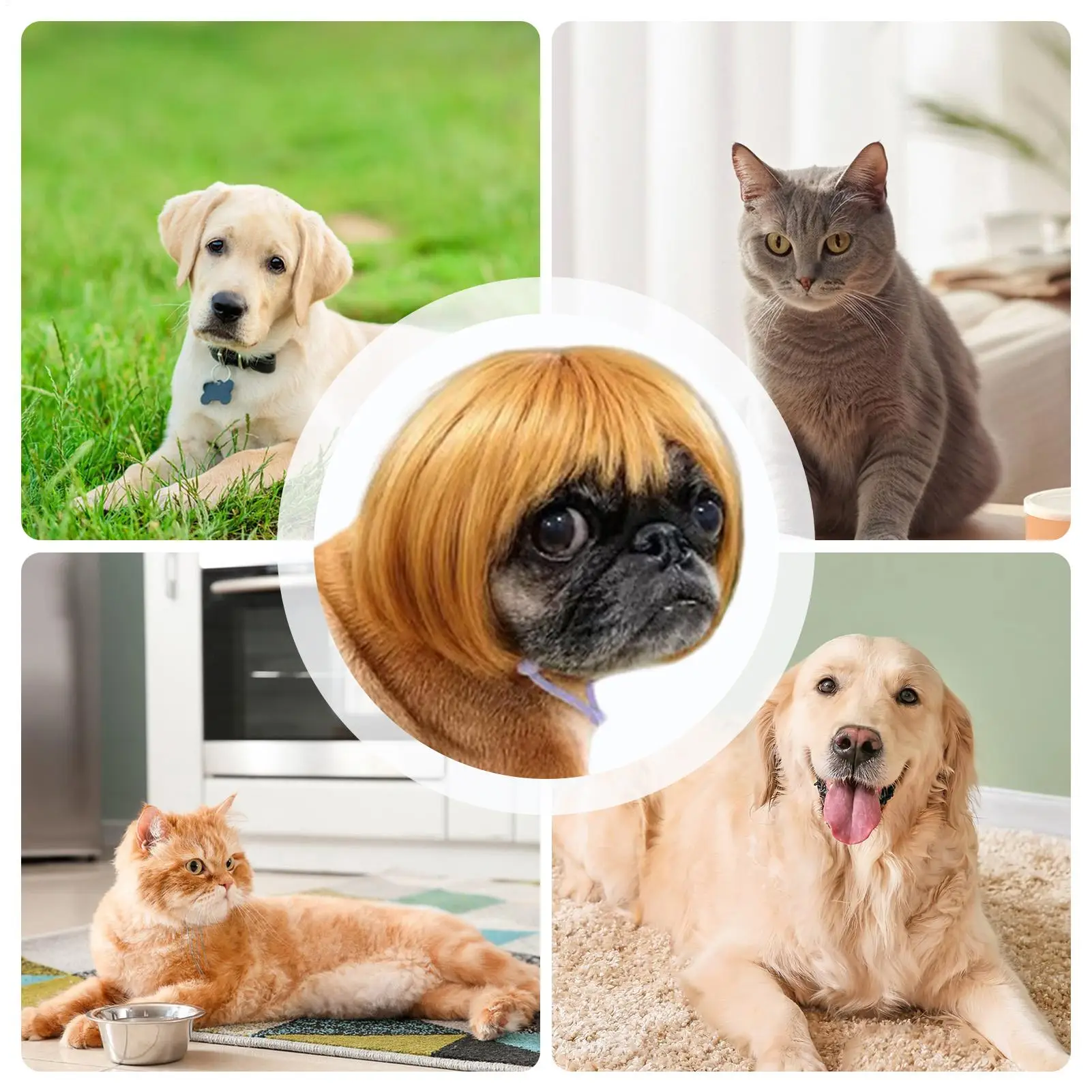 고양이 가발 인간 스타일 조절 가능한 재미있는 앞머리 할로윈 애완 동물 의상 헤드기어 소형 중형 대형견용 할로윈 휴일 파티