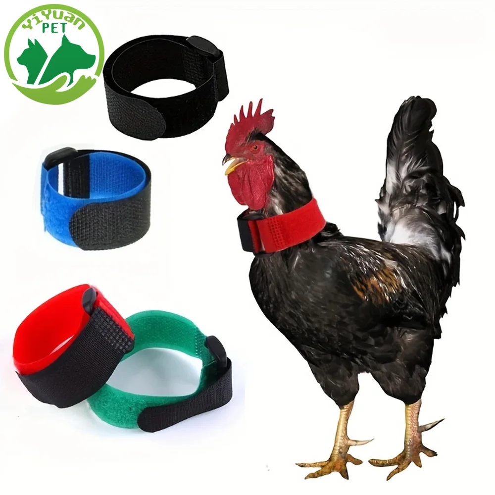 Pet Collar To Prevent Rooster Crowing Rooster Decoration And Traction Accessories