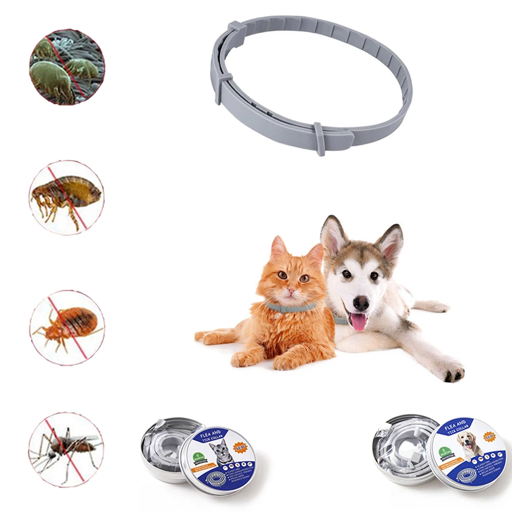 Vip Dropshipping 38 /62cm Dog Collar Flea Tick Prevention Pet Cat Dogs  Collars Rubber Adjustable Collar For Puppy Kitten Dog - Collars, Harnesses  & Leads - AliExpress