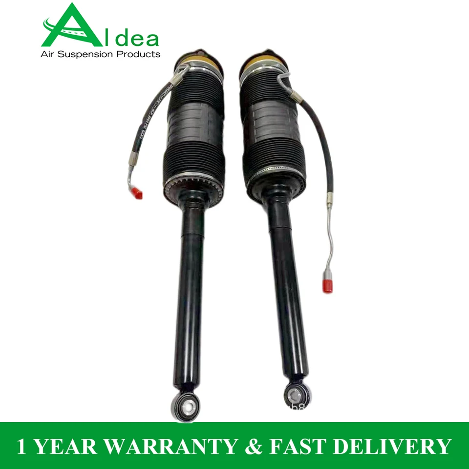 2 Pcs Rear Left & Right Hydraulic Shock Absorber Strut For  