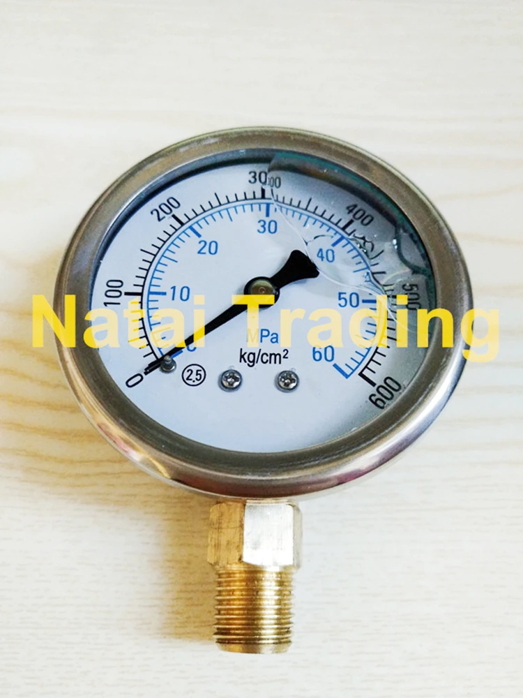 0-600Bar Manometer 60Mpa Pressure Gauge Silicone Oil Filled Stainless Steel Diameter 60mm