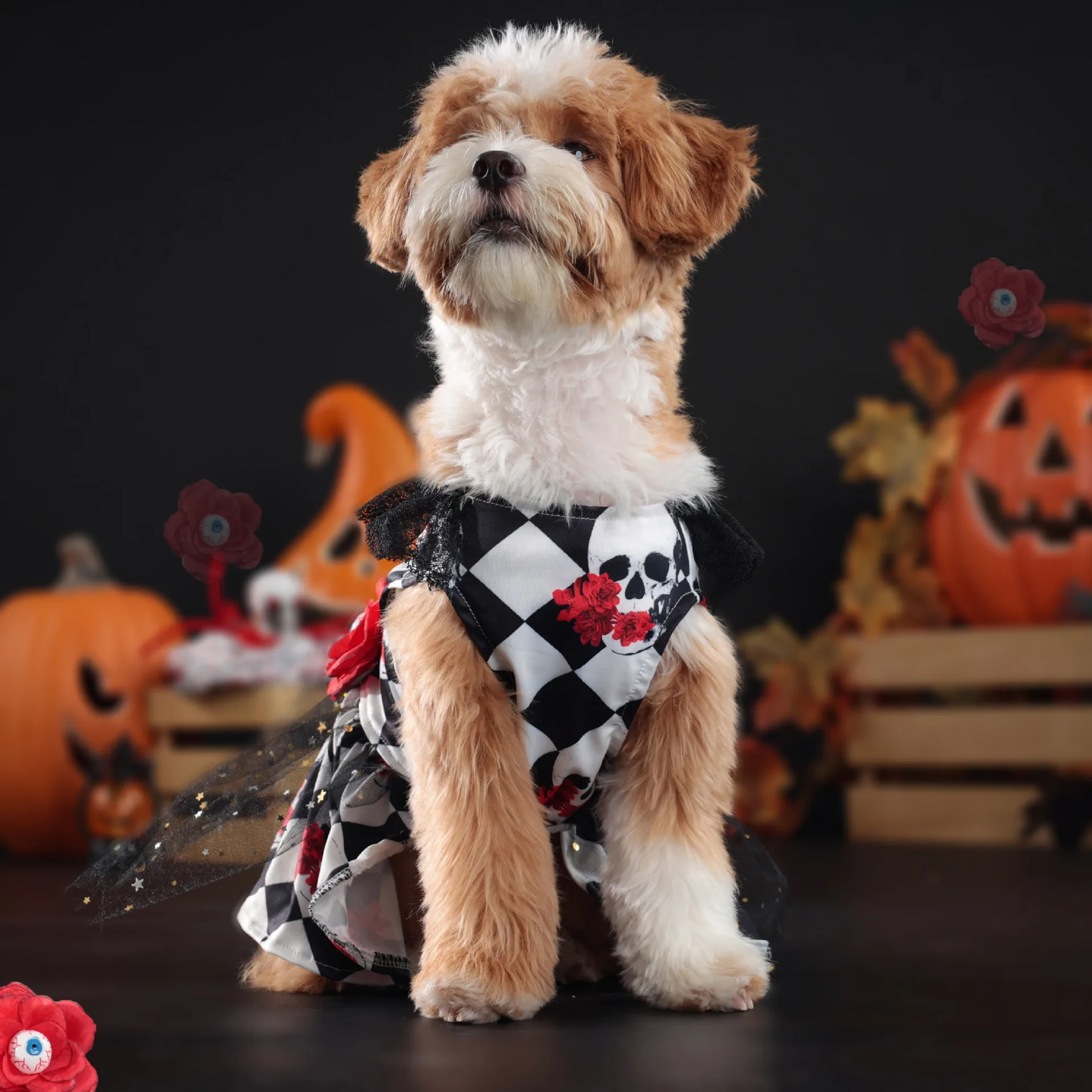 Robe Halloween Damier Noir Et Blanc Squelette Avec Fleurs - 2025 - Vêtement et accessoires pour chiens - Doglovedesign