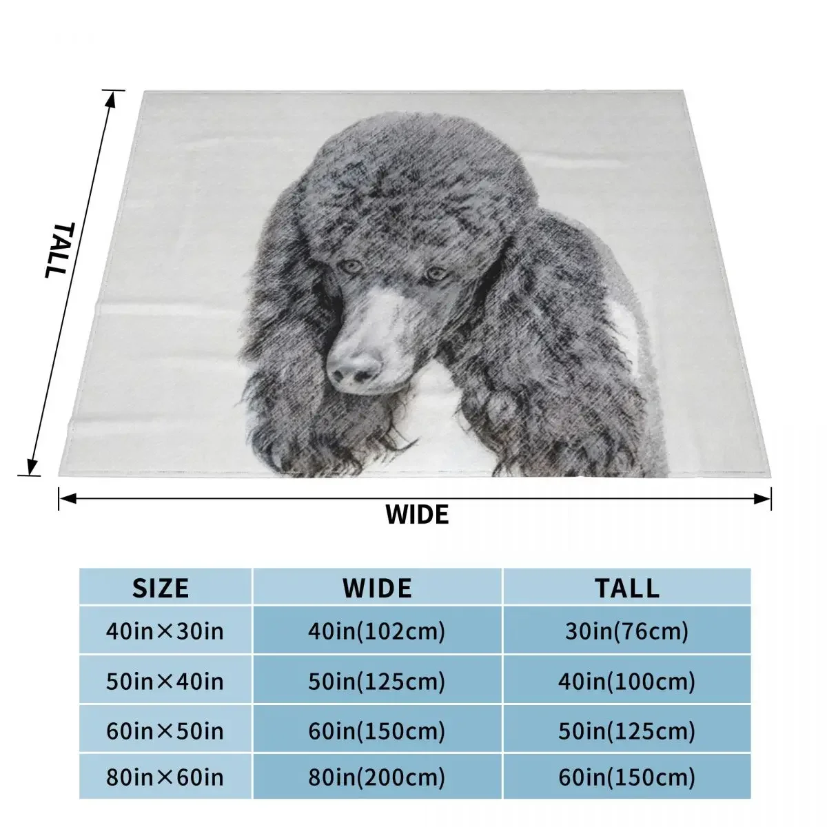 ǥ�� Ǫ�� ��Ƽ �÷� ������ ���, �ܿ� ���� ķ�ο� ���� ���