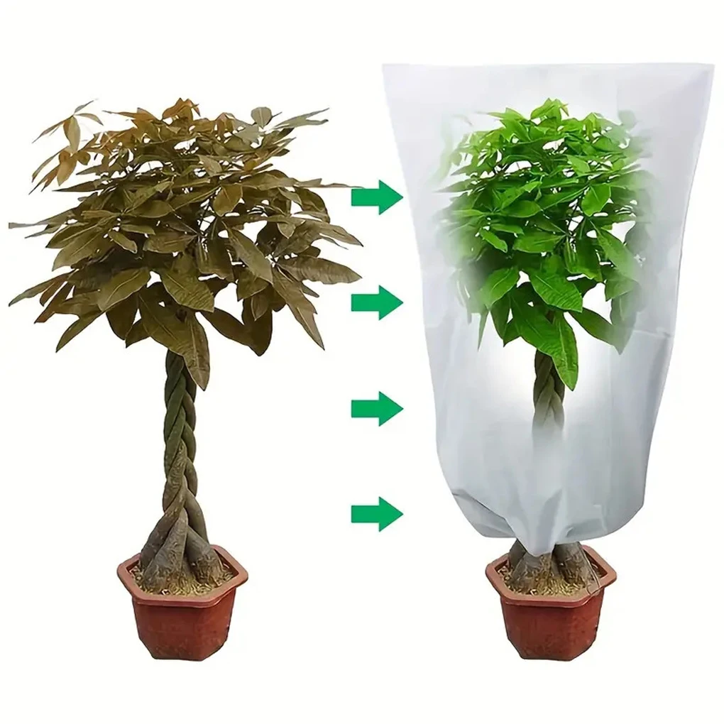 겨울 추위로부터 식물을 보존하는 통기성 식물 보존 하우스 방한 200cm*240cm