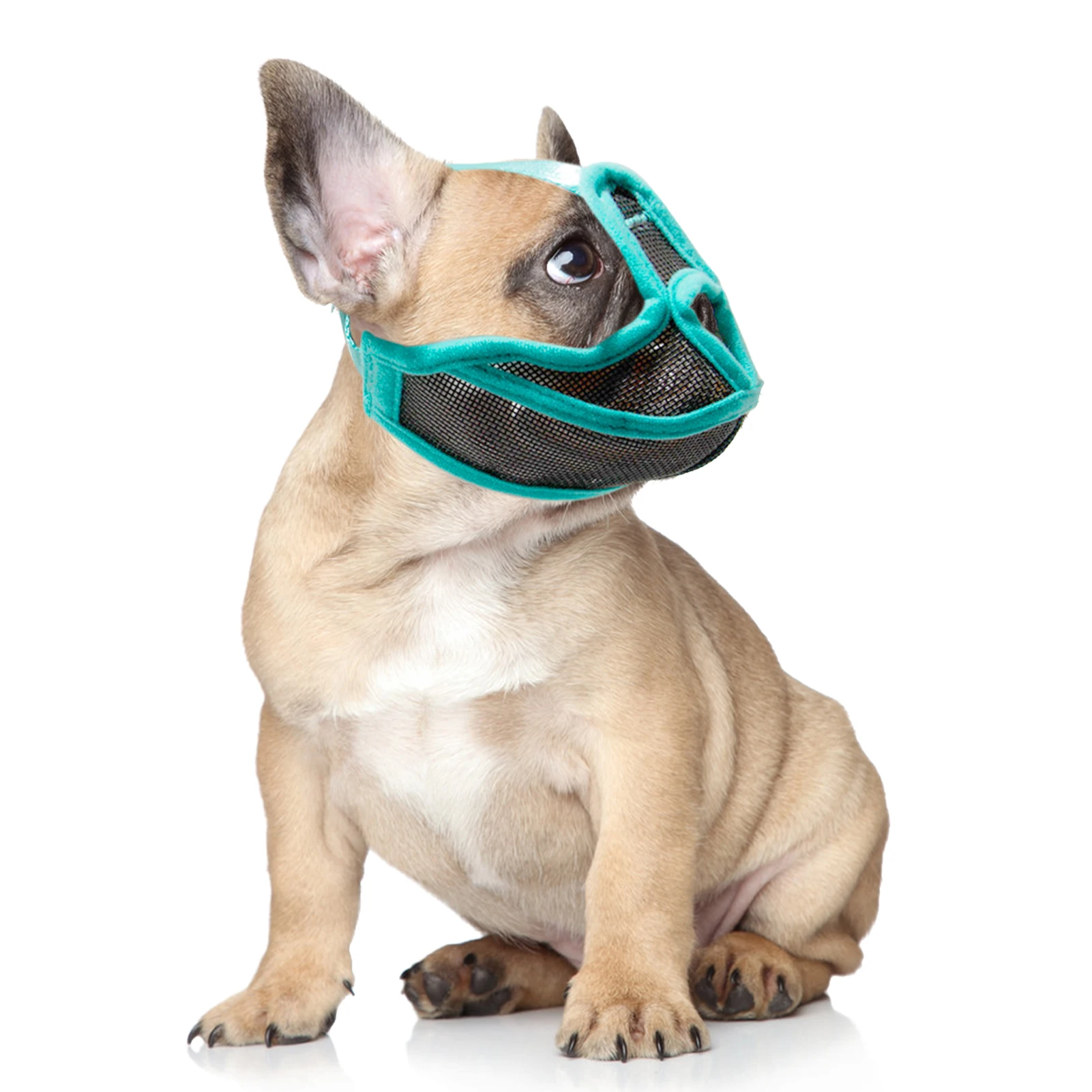 Anti-Barking Licking Anti Barking Dog Muzzle For Small Large Dogs Pet Mouth Muzzles Adjustable Anti-Biting Mesh Breathable dog muzzle