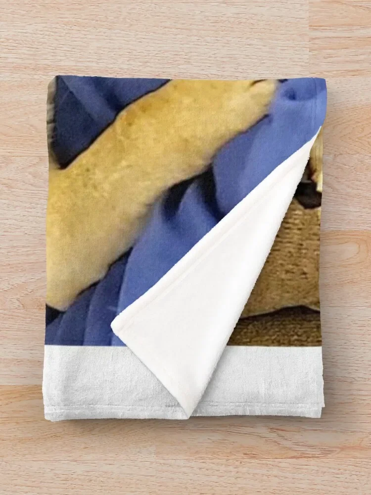 �۱� ������ ��� �� ��, �Ƹ��ٿ� ����, ���Ÿ� �귣�� ���