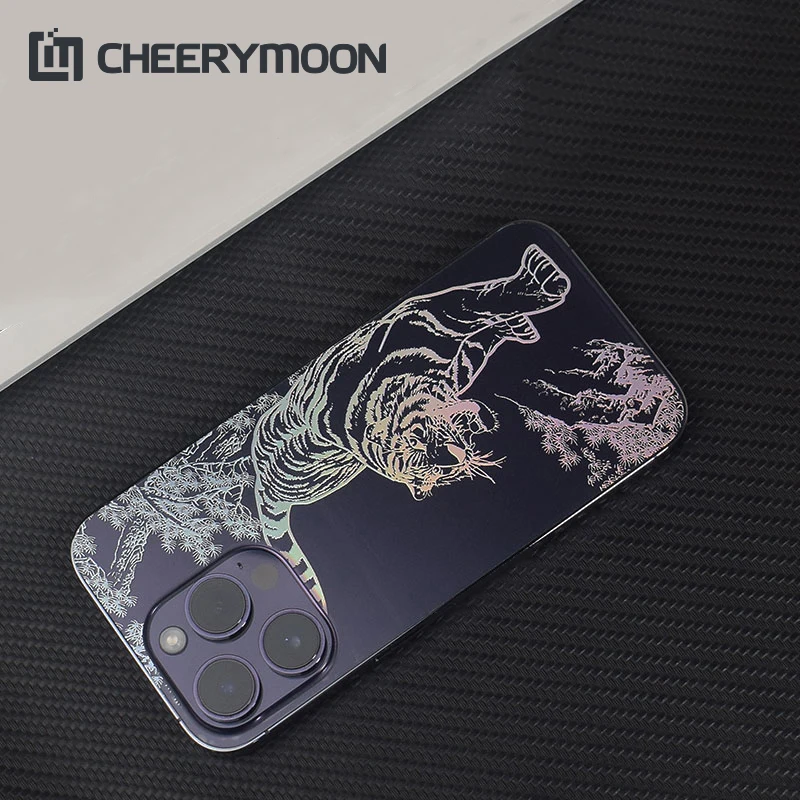 Embossed Colorful Transparent HD Back Film For iPhone 14 13 12 11 Pro Max mini 12Pro 14Promax Skin Protector Frosted Sticker