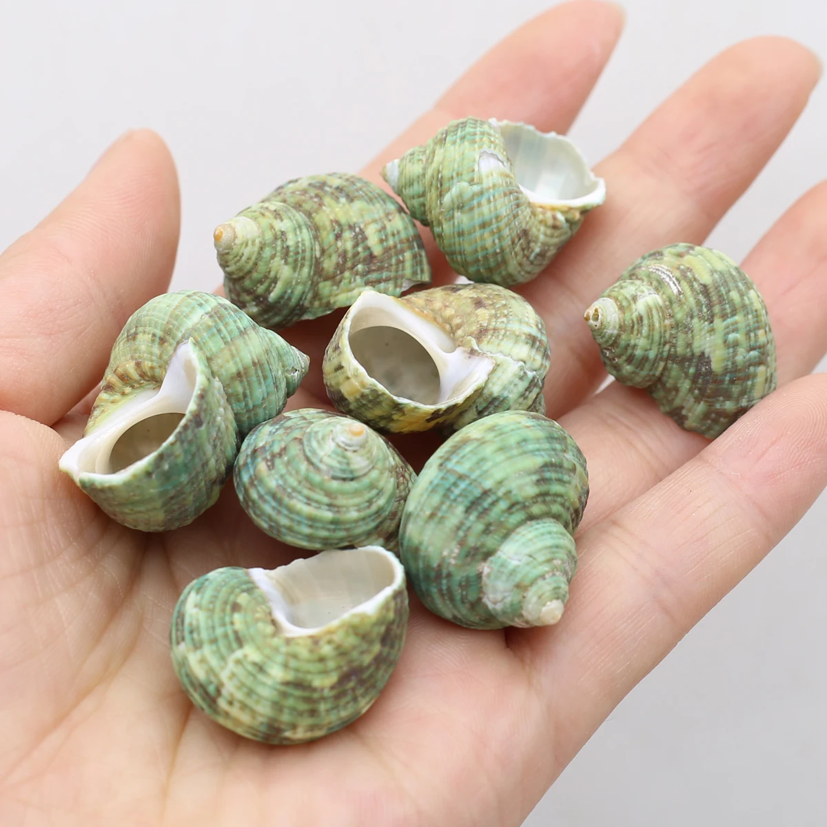 

100g Natural Hermit Crab Shell Charms Craft Jewelry Making Necklace DIY Accessries Fish Tank Aquarium Ornaments Home Decoration
