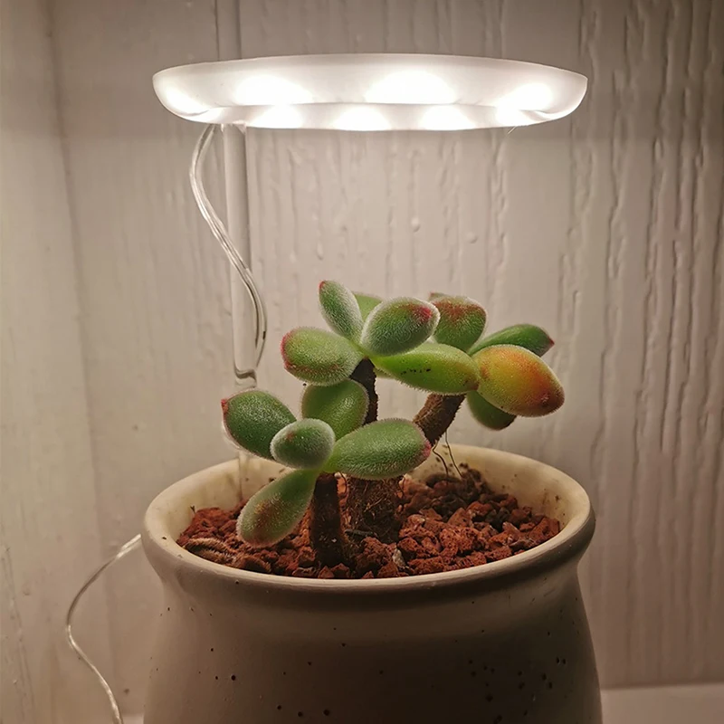 5V LED USB Plant Growth Light for Succulent Full Spectrum Plant Angel Ring Light Succulent Indoor Flower Greenhouse Seedling