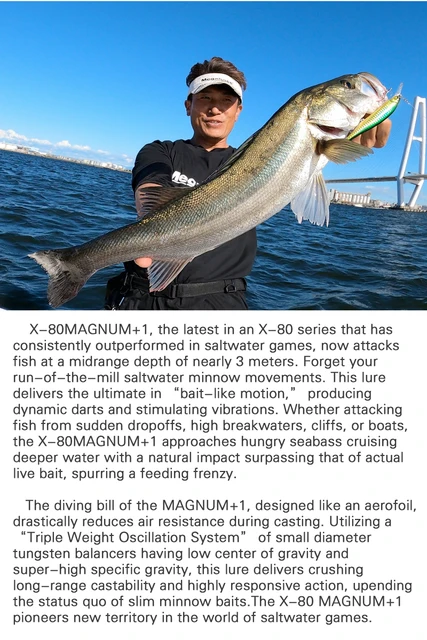 Megabass X-80 MAGNUM+1 Fishing Lures Salt Minnow 115mm 18G Long Distance  Sea Bass Lure Sinking Bait Max Depth 2.8M #6 3pcs Hooks - AliExpress