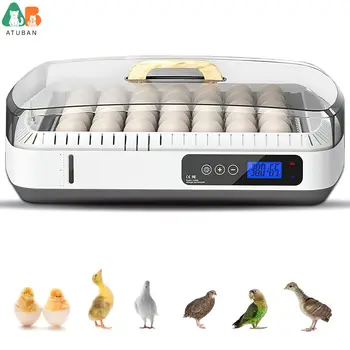 부화기 가격대 7,100원 ~ 84,300원 추천 BEST 8 8 8 6-product-image