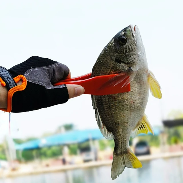 Fishing Supplies Fishing Gripper With Belt Clip Key Chain Holder Fish Holder  Switch Lock Gear Pince