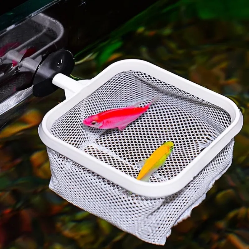 Fishing Landing Net Extendable Telescopic Fish Shrimp Skimming Net Stainless Steel Handle Fish for Aquarium Tank