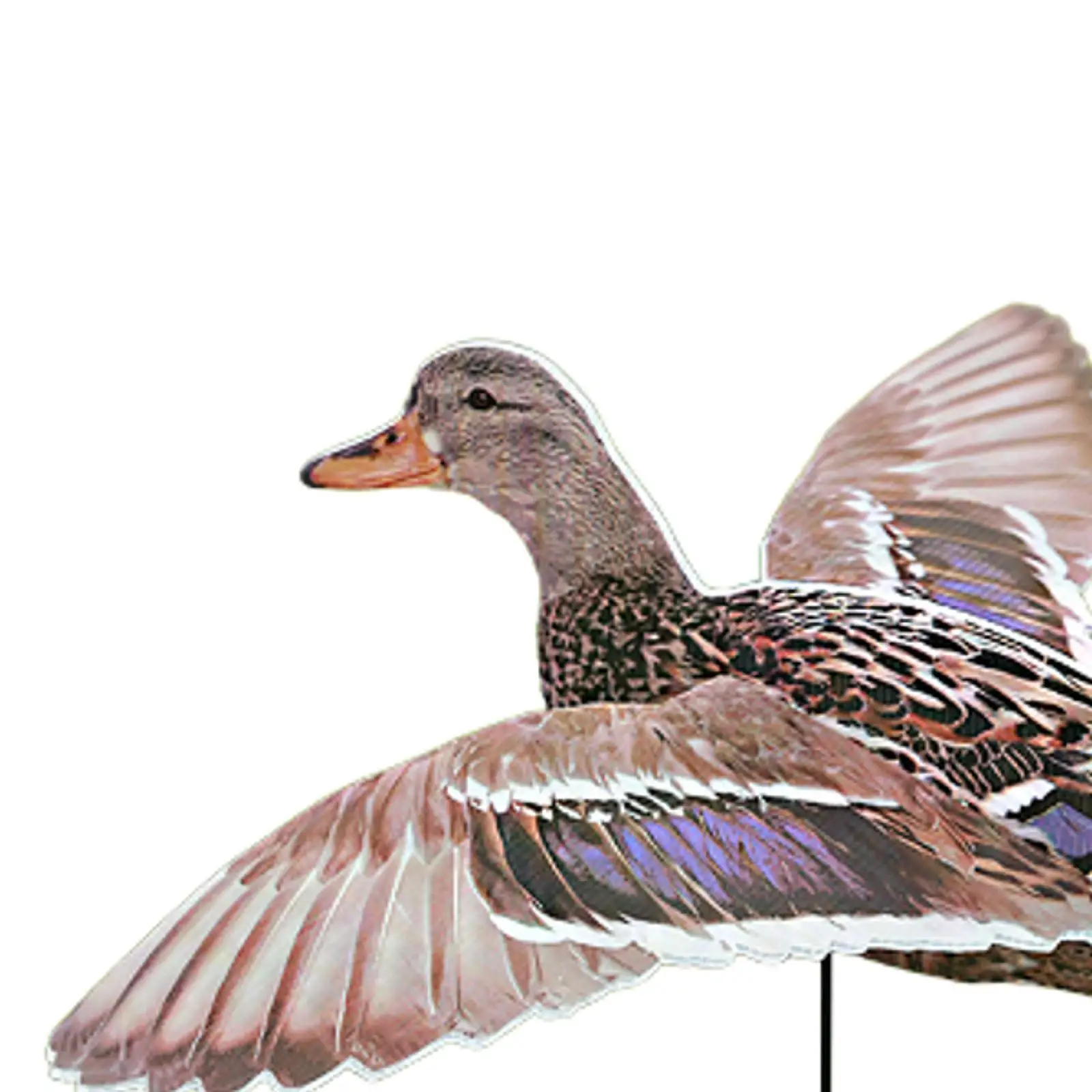 Slide image ff6b6d7961ca405491945b2e6ab7cc77