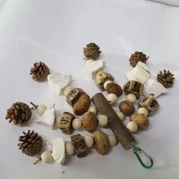Bird Toys with Pinecones Cuttlefish Bones Beech Wood Nuts Teething Chew Toy For Parrot Parakeets Cockatiels Love Birds Supplies 2