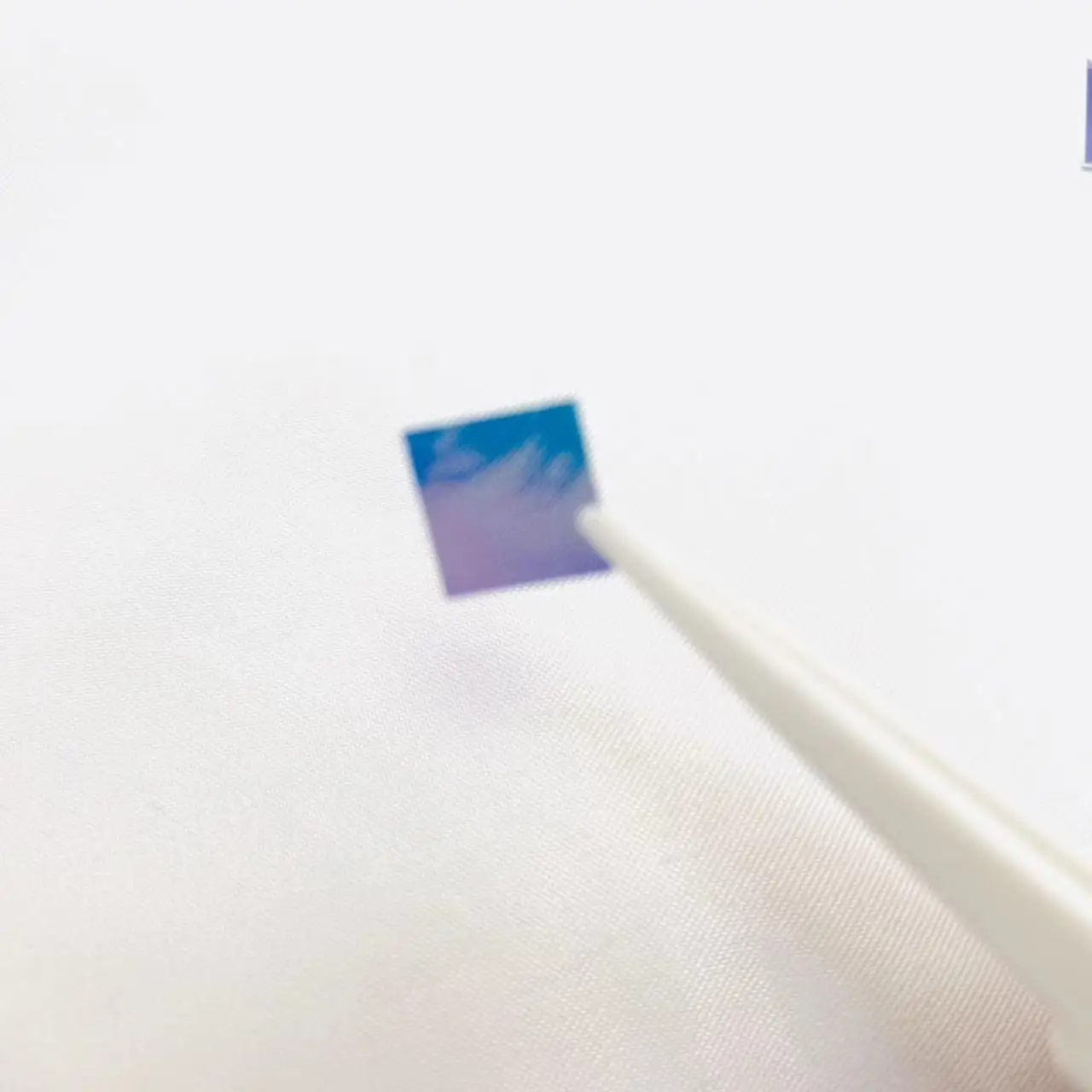 Amazon.com : Long Wave Pass Filter, Colored Glass, Long Wave