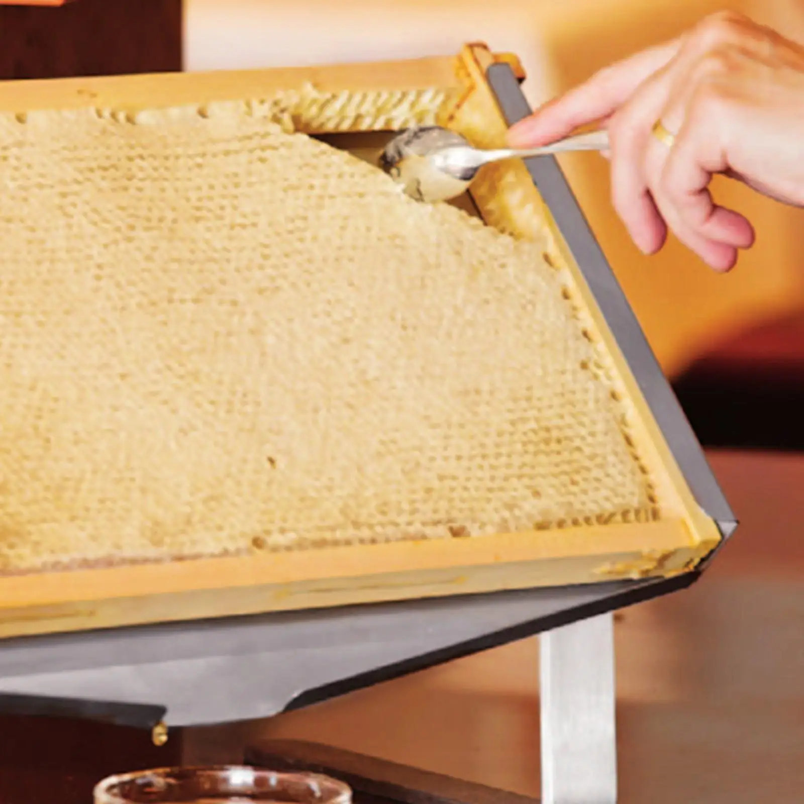 Beehive Frame Holder Honeycomb Frame Display Stand Honey Extractor Equipment Metal Drip Tray Home Beekeeper