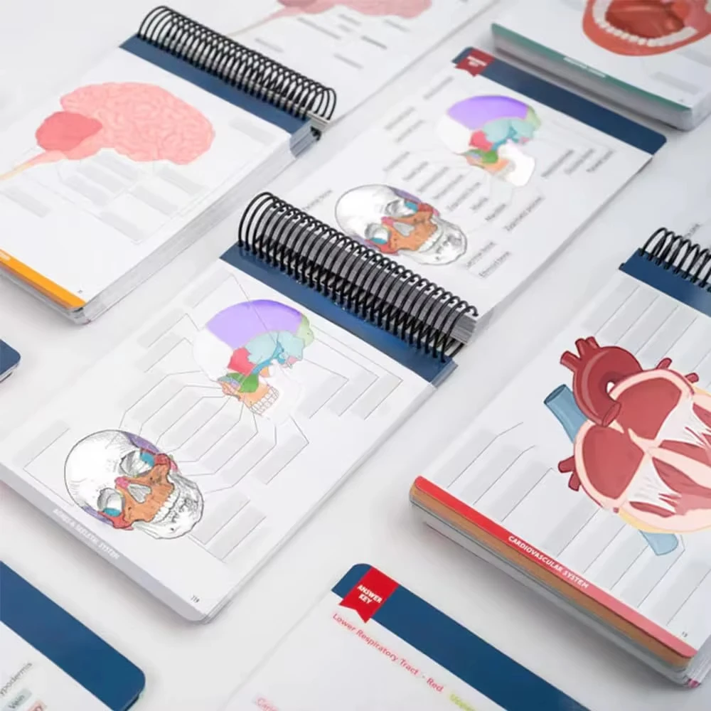100+ Detailed Anatomy Illustrations Book 2