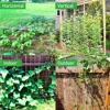 All-Weather Trellis Netting Mesh Heavy-Duty Plant Support Stand for Flowers Vegetable Vine Climbing String Net Gardening Tools 3