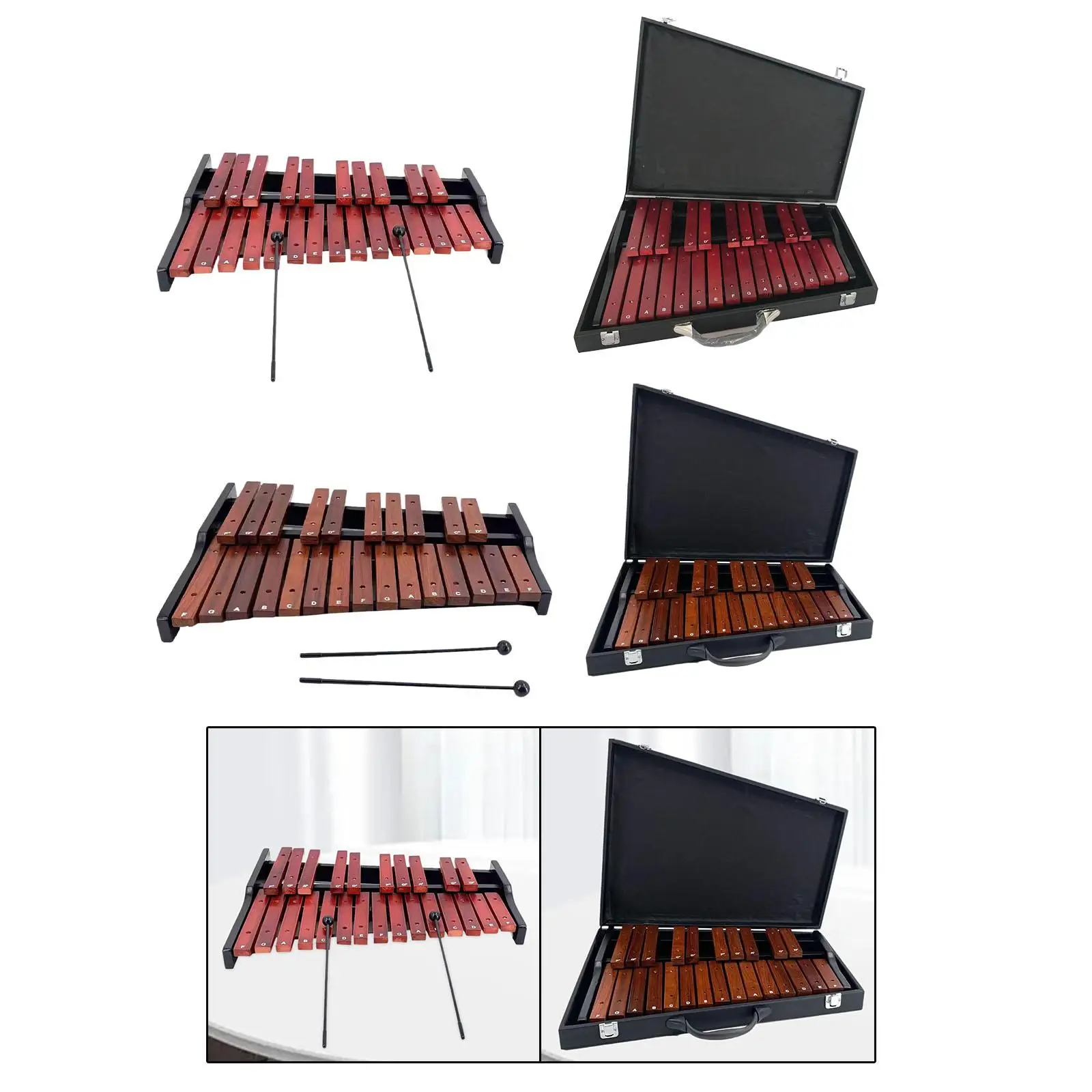 25 Scales Xylophone Montessori for Live Performance Event School Orchestras