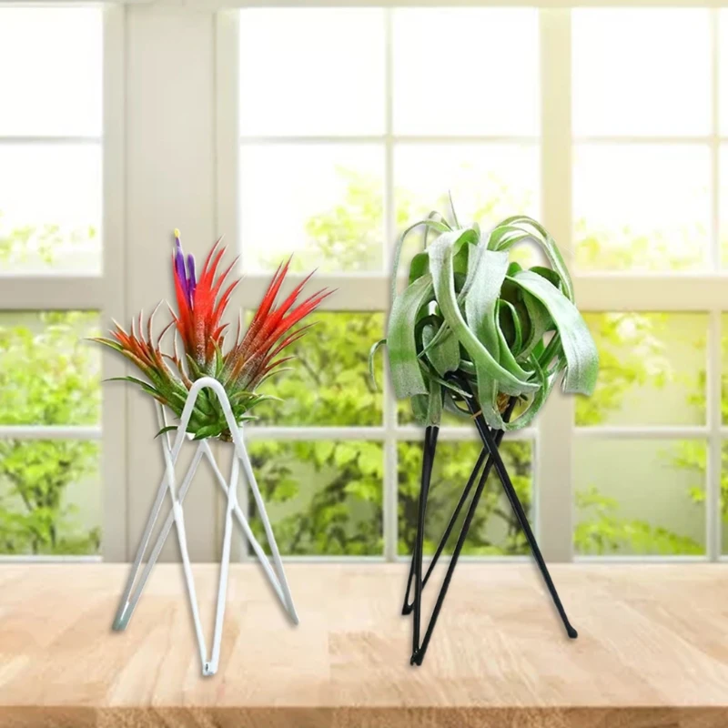 

Nordic Air Plant Holder Metal Flower Pot Stand Geometric Iron Tillandsia Holder Art Display Home Garden Ornaments
