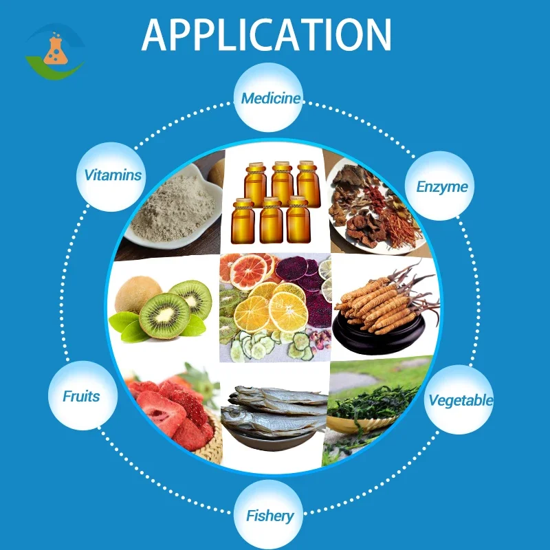 3kg 6kg 10kg Fruit Liofilizador Machine Price Small Mini Laboratory Vacuum Freeze Drying Equipment Home Food Freeze Dryer