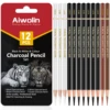 Professional Colored Charcoal Pencils Drawing Set,12 Pieces Pastel Chalk Pencils for Sketching, Shading, Blending, Portrait. 1