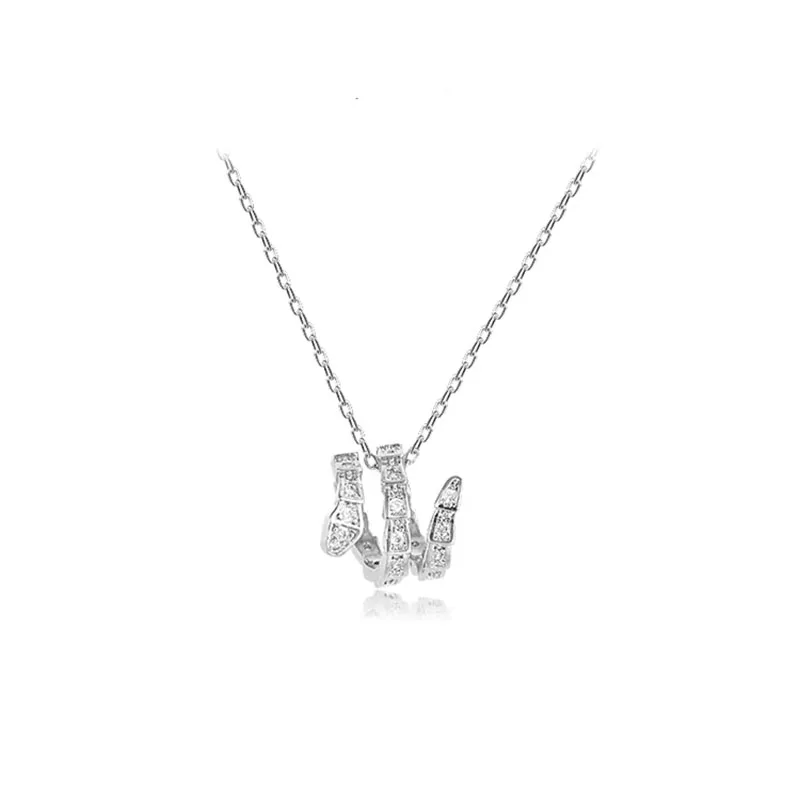 Halskette mit Anhänger aus 925er Silber, Originalität, voller Zirkon, Schlangen-Anhänger, gewundene Silberfarbe, einzigartige Damen-Hiphop-Edelschmuck, Halsband, Geschenke – Detail 7